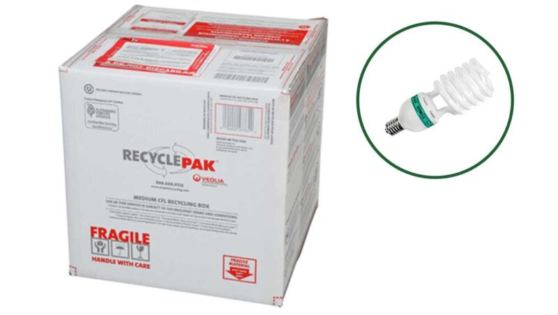 BulbCycle Compact Fluorescent Lamp - CFL - Recycling Box MEDIUM 192ch RecyclPak