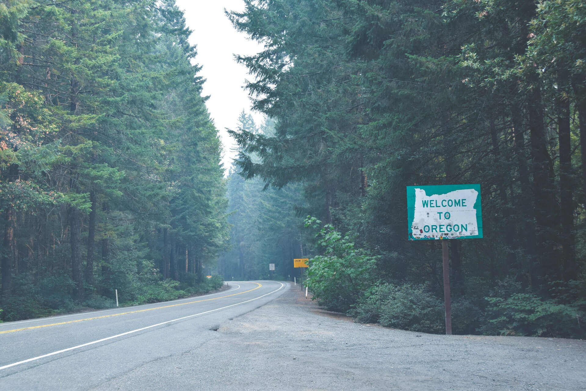 a wooded road in Oregon